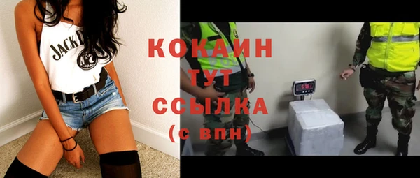 тгк Абаза