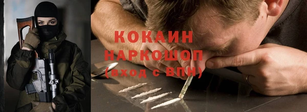 винт Алзамай
