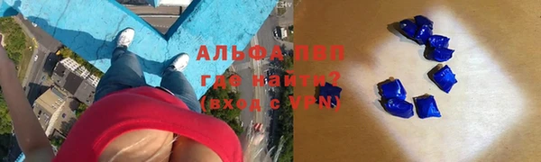 сатива Абинск