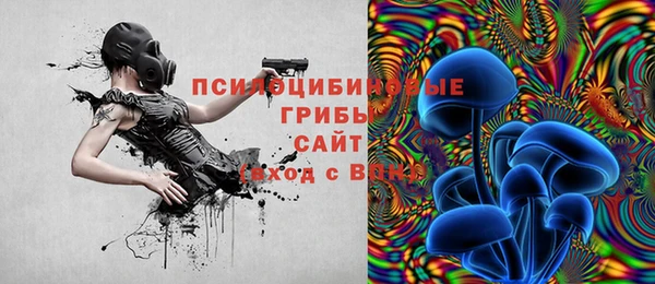 стаф Алексин